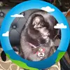 Jackie Rolf - @jackie.rolf - TikTok