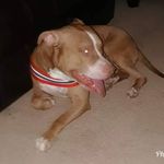 Jackie Rollins - @rollins2376 - Instagram