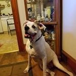 Jackie Rollins - @jacqueline_deblois - Instagram