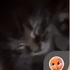 Jackie Roman - @jackie.roman21 - TikTok