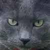 Jackie.rome - @jackie.rome - TikTok