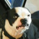 Jack Roop - @nauticaguy83 - Instagram