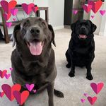 Jackie Rossi - @jackie.rossi.127 - Instagram