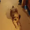 Jackie Rowan - @jackie.rowan0 - TikTok