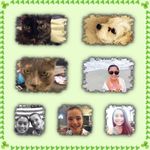 Roslynn Beavan  Jackie Rowell - @roslynn_jackie_animals - Instagram