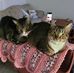 Jacqueline Rhoads - Facebook