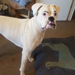 Jackie Royer - @jackie.royer.9659 - Instagram