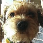 Jackie, Fern BT & Ruby BT 🌈 - @jackiefernandrubyscout - Instagram