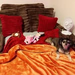 Jackie Rucker - @jackierucker615 - Instagram