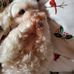 Jacqueline Rudolph - Facebook