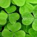 Jackie Ruhl - Facebook