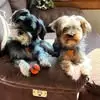 Jackie Runkle - @jackie.runkle - TikTok
