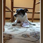 Jackie Ryals - Facebook