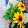jackieryals3 - @flsunflowers - TikTok