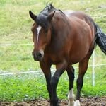 Jackie sadler - @sadler7509 - Instagram