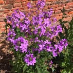 Jackie Sadler - @hygeejs - Instagram