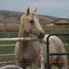 Jackie Sadler - @jackie.sadler3 - TikTok