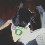 Jackie Sample - @sample_jackie - Instagram
