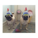 Jackie Caspi Samuelson - @jackiensamuelson - Instagram