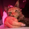 sandyjackie_ - @sandyjackie_ - TikTok