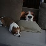 Jackie Sapp - @jackiesapp1 - Instagram