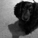 Jackie Schatz - Facebook