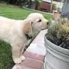 jackieschiffner - @jackieschiffner - TikTok