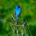 Jackie Schilling - Facebook