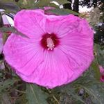 Jackie Noonan Schoen - @noonanschoen - Instagram