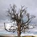 Jackie Scholtz - Facebook