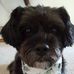 Jackie Schroeder - Facebook