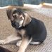 Jackie Schroeder - Facebook