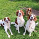Jackie Sheehan - @sheehan4113 - Instagram
