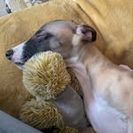 Jackie Sheehan - @sheehanjax - Instagram