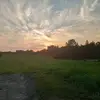 jackielynnsheets - @jackielynnsheets - TikTok