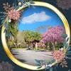 jackie.sherrill - @jackie.sherrill - TikTok