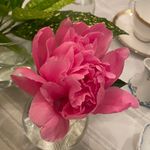Jackie Shipman - @shipman_01 - Instagram