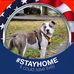Jackie Sinclair - Facebook