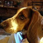 Jackie Sisk - @sisk.jackie - Instagram