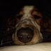 Jackie Sisk - Facebook