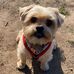 Jacqueline Slade - Facebook