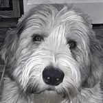 Jackie Slater - @jackierox6478 - Instagram
