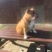 Jackie Slater - Facebook