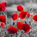 Jackie Slater - Facebook