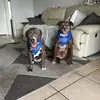 jackieslater68 - @jackieslater68 - TikTok