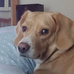 Jacquelyn Slone Stephens - @jackieslonestephens - Instagram