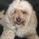 Maria Paris - @jackie_and_sofia - Instagram