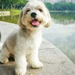 Jackie Soon - @jackiesoon118 - Instagram