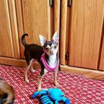 Jackie Sorrells - @sorrellsjackie - Instagram