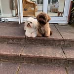 Jackie Spiers - @spiers_jackie - Instagram
